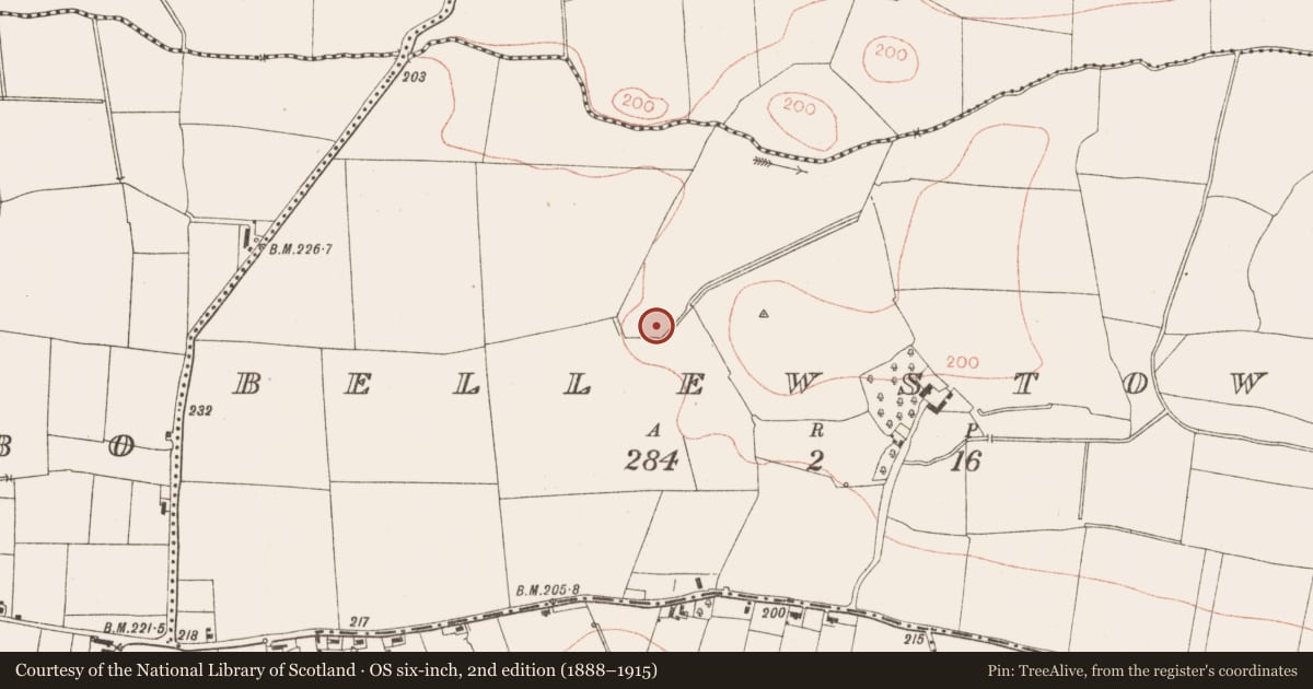 Ordnance Survey six-inch map, 2nd edition (1888–1915) covering the location of Ritual site - holy well, Bellewstown, County Meath, with a pin at the register's coordinates