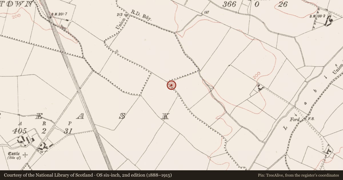 Ordnance Survey six-inch map, 2nd edition (1888–1915) covering the location of Barrow - ring-barrow, Balgeeth, County Meath, with a pin at the register's coordinates