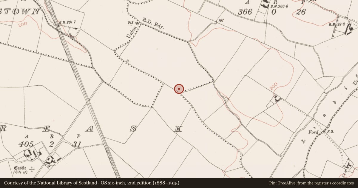 Ordnance Survey six-inch map, 2nd edition (1888–1915) covering the location of Enclosure, Balreask, County Meath, with a pin at the register's coordinates