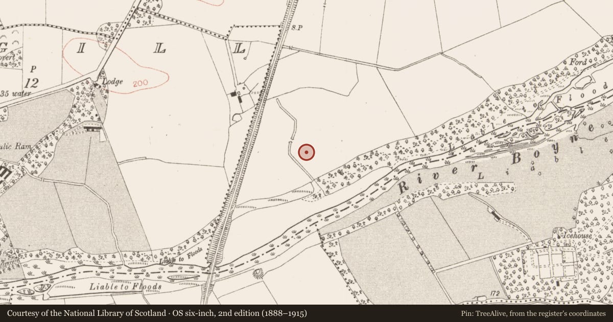 Ordnance Survey six-inch map, 2nd edition (1888–1915) covering the location of Ring-ditch, Grange, County Meath, with a pin at the register's coordinates