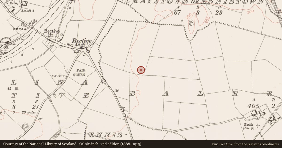 Ordnance Survey six-inch map, 2nd edition (1888–1915) covering the location of Ring-ditch, Balreask, County Meath, with a pin at the register's coordinates