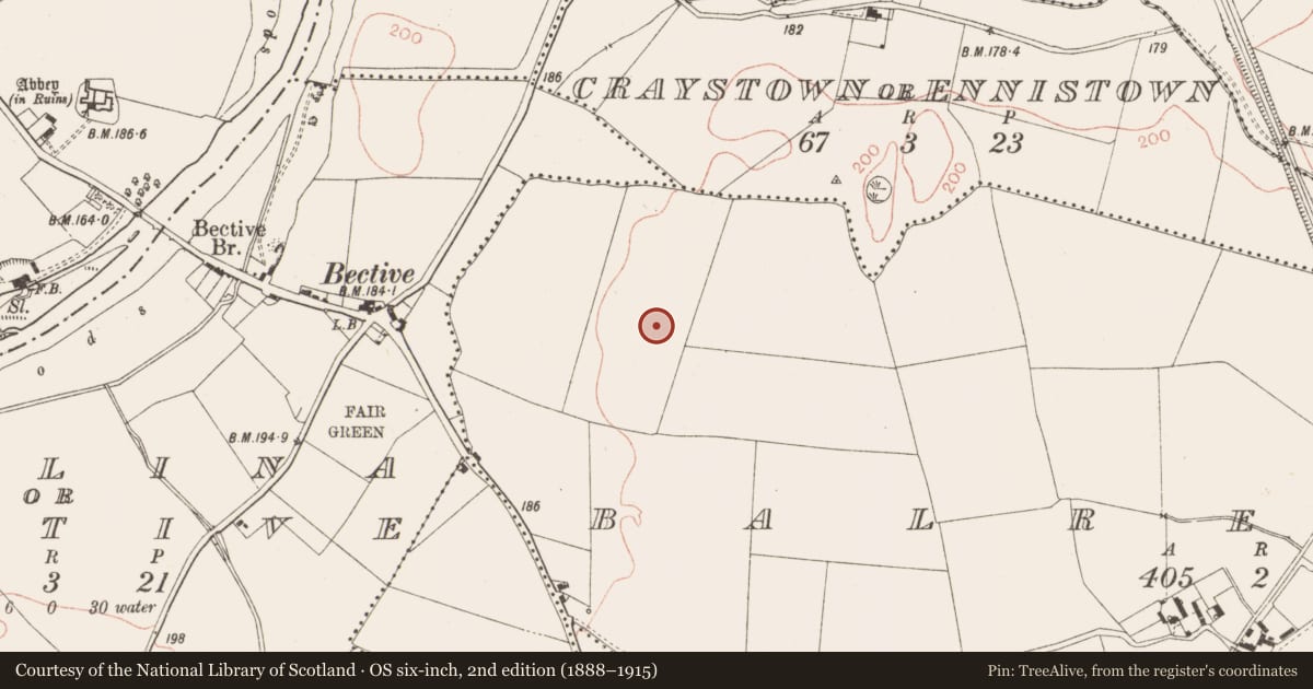 Ordnance Survey six-inch map, 2nd edition (1888–1915) covering the location of Ring-ditch, Balreask, County Meath, with a pin at the register's coordinates