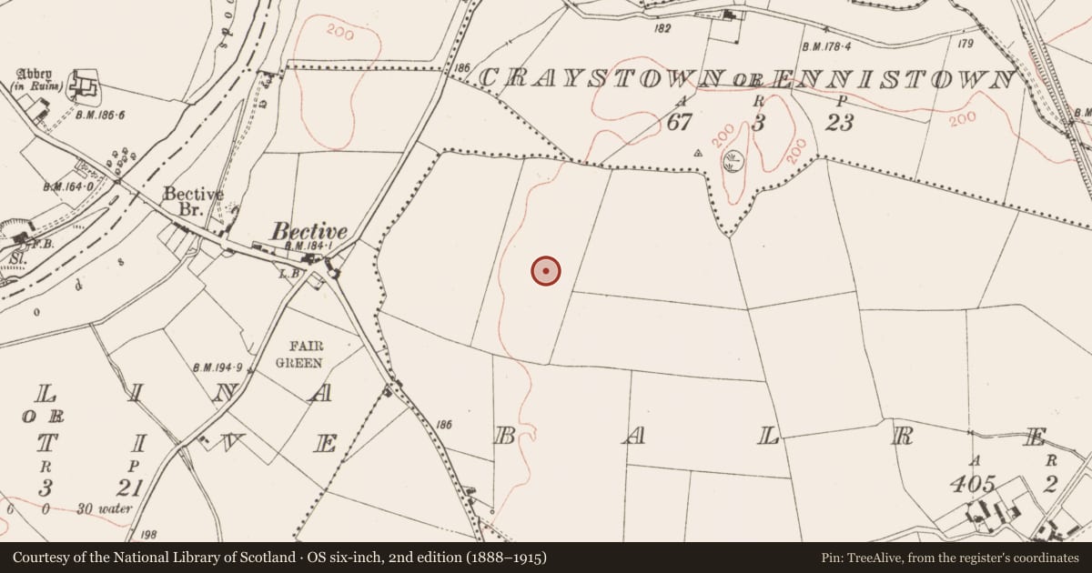 Ordnance Survey six-inch map, 2nd edition (1888–1915) covering the location of Ring-ditch, Balreask, County Meath, with a pin at the register's coordinates