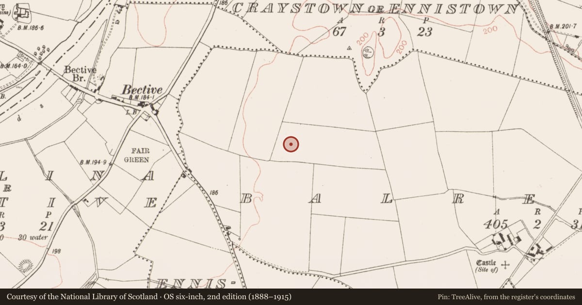 Ordnance Survey six-inch map, 2nd edition (1888–1915) covering the location of Enclosure, Balreask, County Meath, with a pin at the register's coordinates