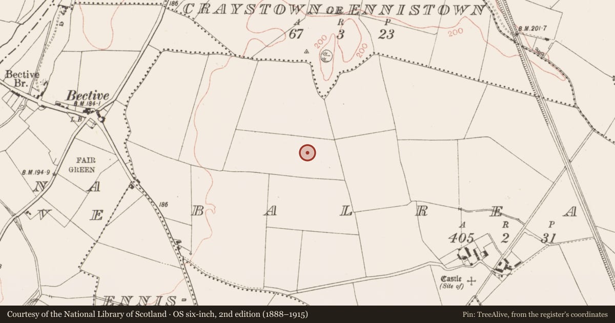 Ordnance Survey six-inch map, 2nd edition (1888–1915) covering the location of Enclosure, Balreask, County Meath, with a pin at the register's coordinates
