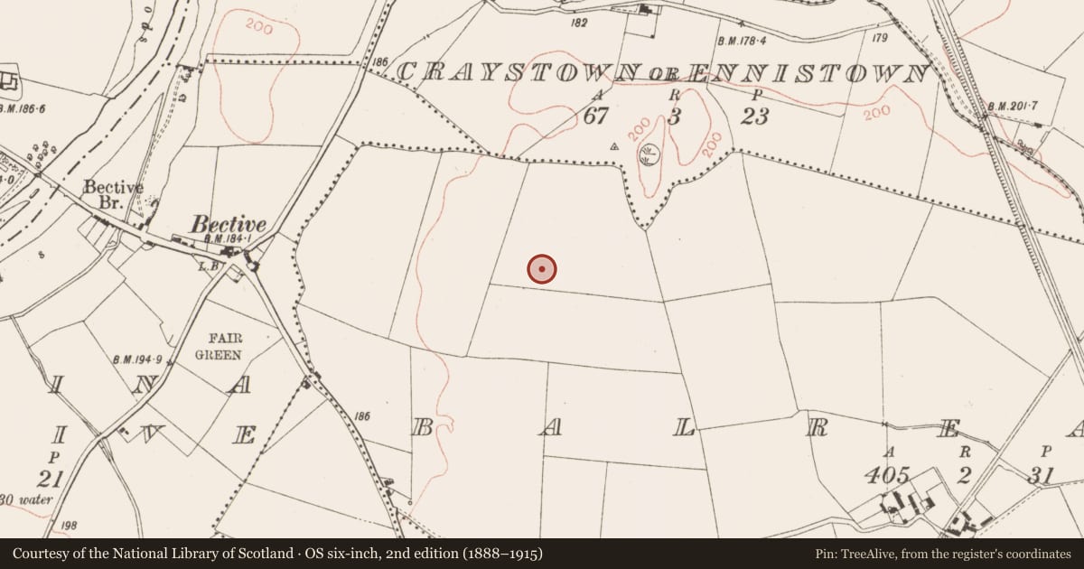 Ordnance Survey six-inch map, 2nd edition (1888–1915) covering the location of Ring-ditch, Balreask, County Meath, with a pin at the register's coordinates