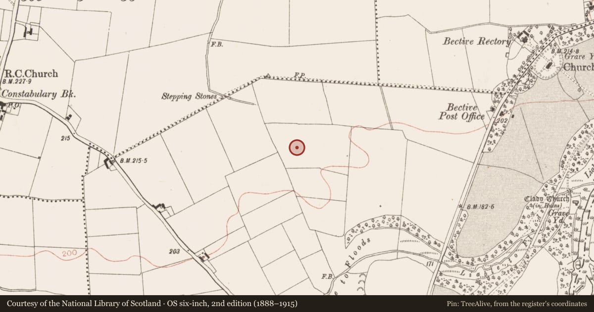 Ordnance Survey six-inch map, 2nd edition (1888–1915) covering the location of Enclosure, Bective, County Meath, with a pin at the register's coordinates