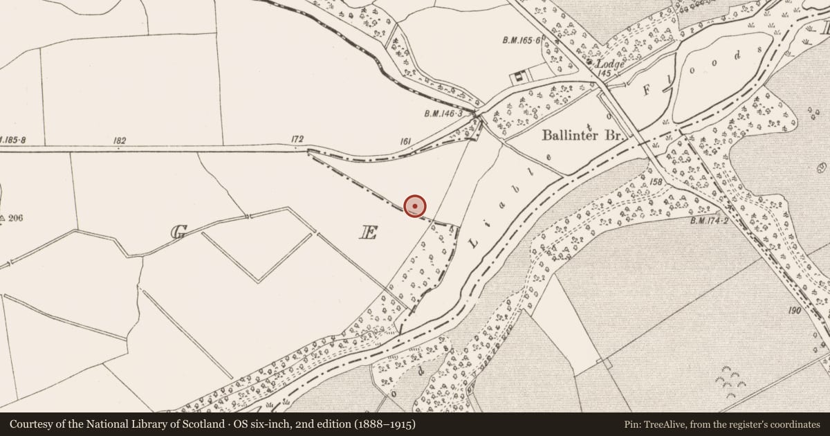 Ordnance Survey six-inch map, 2nd edition (1888–1915) covering the location of Enclosure, Ardsallagh, County Meath, with a pin at the register's coordinates