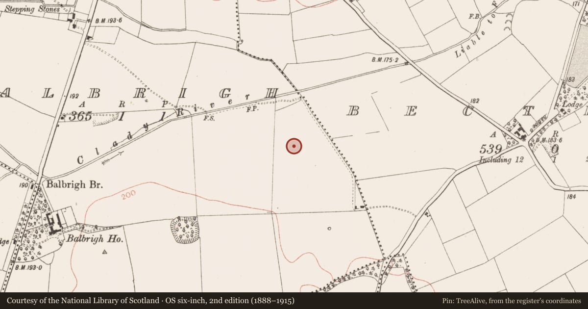 Ordnance Survey six-inch map, 2nd edition (1888–1915) covering the location of Ring-ditch, Balbrigh, County Meath, with a pin at the register's coordinates