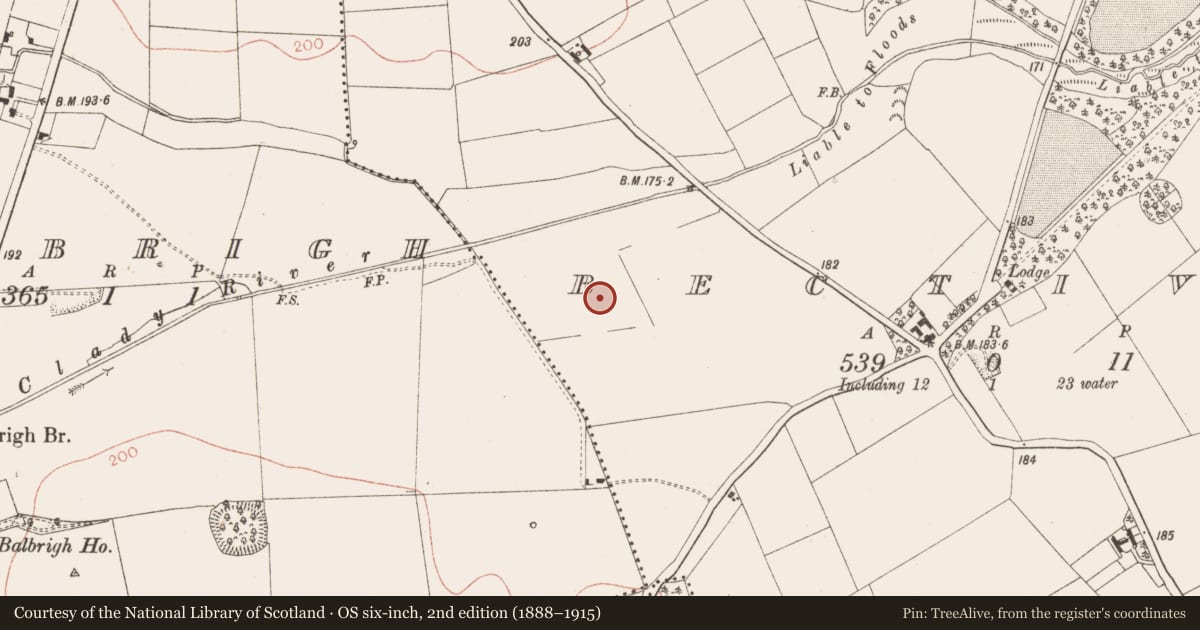 Ordnance Survey six-inch map, 2nd edition (1888–1915) covering the location of Enclosure, Bective, County Meath, with a pin at the register's coordinates