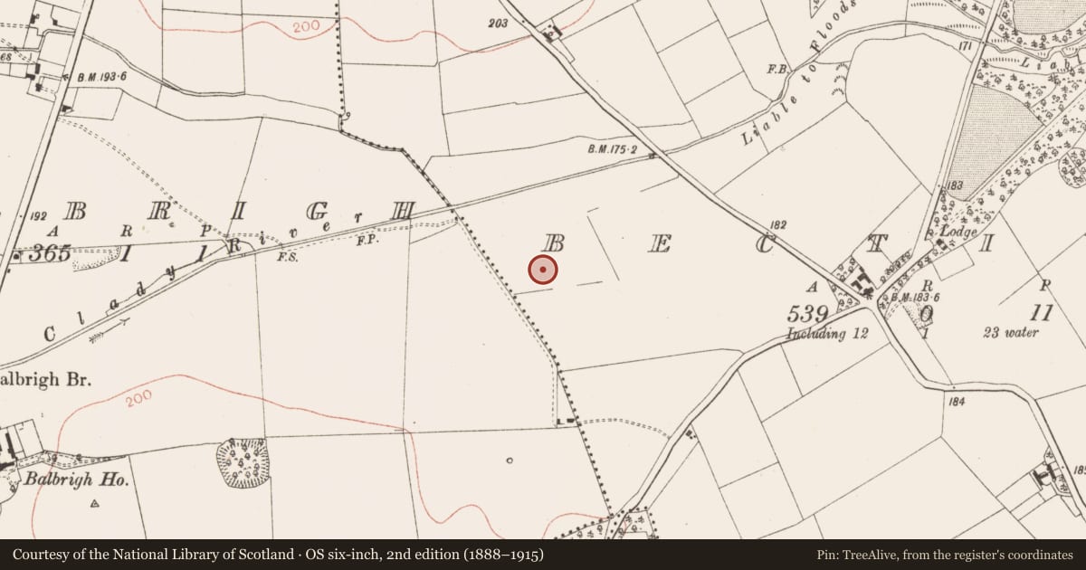 Ordnance Survey six-inch map, 2nd edition (1888–1915) covering the location of Enclosure, Bective, County Meath, with a pin at the register's coordinates