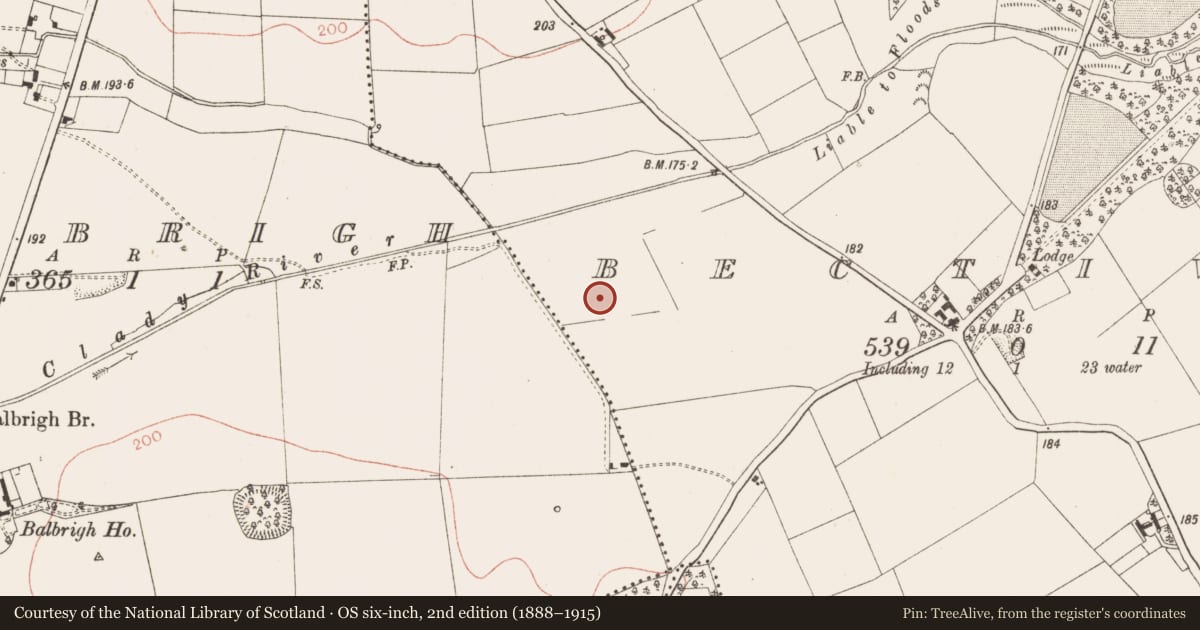 Ordnance Survey six-inch map, 2nd edition (1888–1915) covering the location of Ring-ditch, Bective, County Meath, with a pin at the register's coordinates