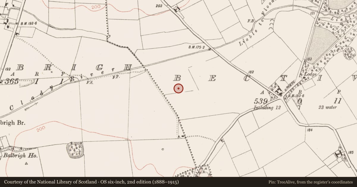 Ordnance Survey six-inch map, 2nd edition (1888–1915) covering the location of Ring-ditch, Bective, County Meath, with a pin at the register's coordinates