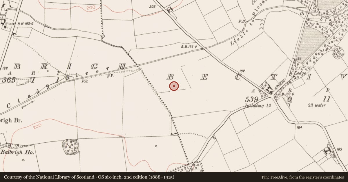Ordnance Survey six-inch map, 2nd edition (1888–1915) covering the location of Ring-ditch, Bective, County Meath, with a pin at the register's coordinates