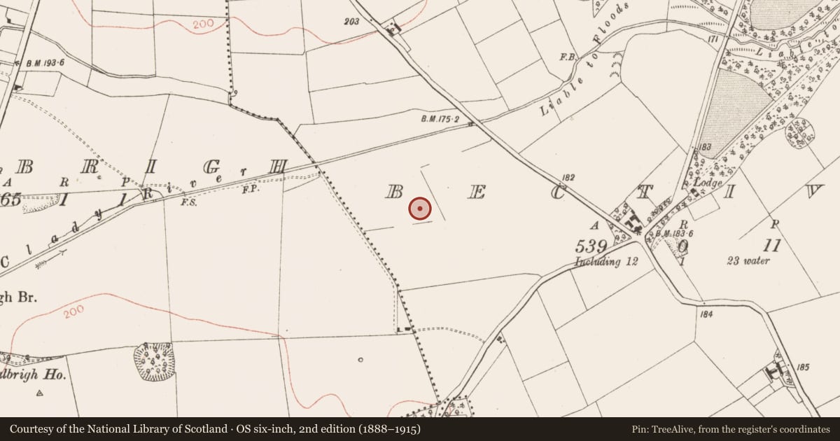 Ordnance Survey six-inch map, 2nd edition (1888–1915) covering the location of Ring-ditch, Bective, County Meath, with a pin at the register's coordinates