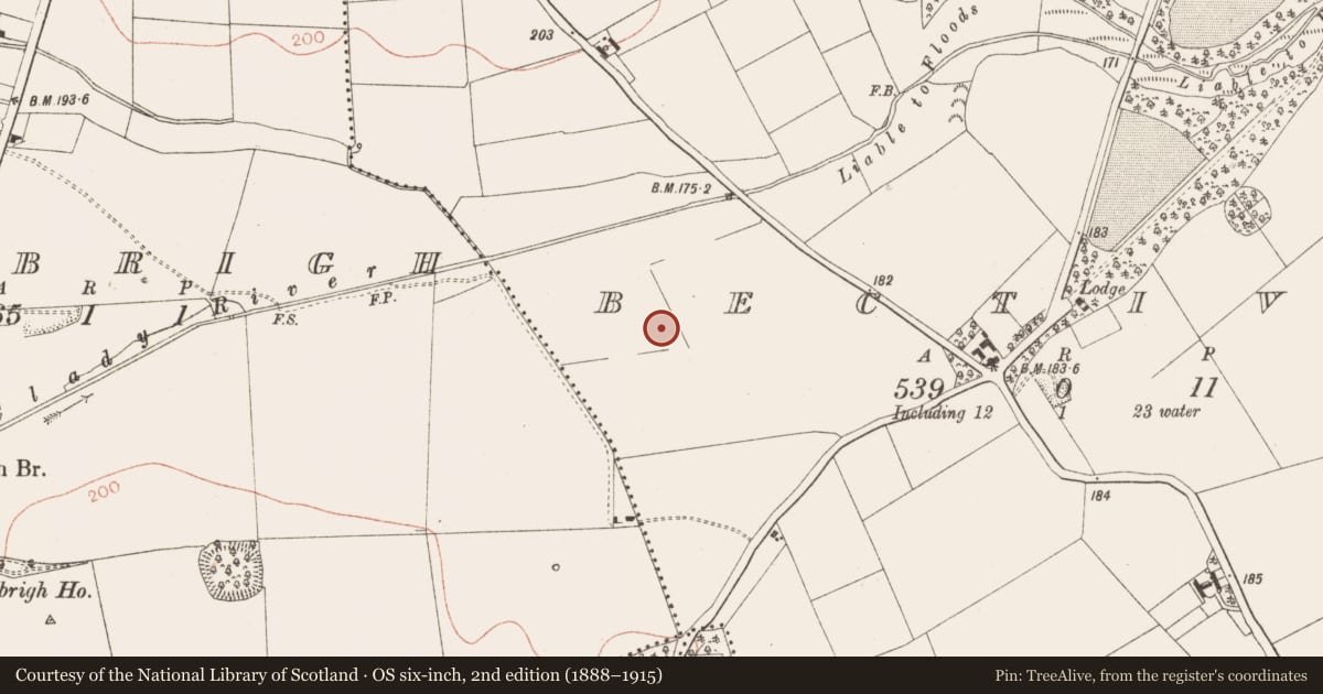 Ordnance Survey six-inch map, 2nd edition (1888–1915) covering the location of Ring-ditch, Bective, County Meath, with a pin at the register's coordinates