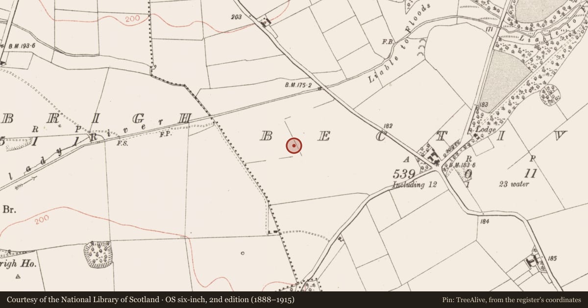Ordnance Survey six-inch map, 2nd edition (1888–1915) covering the location of Ring-ditch, Bective, County Meath, with a pin at the register's coordinates