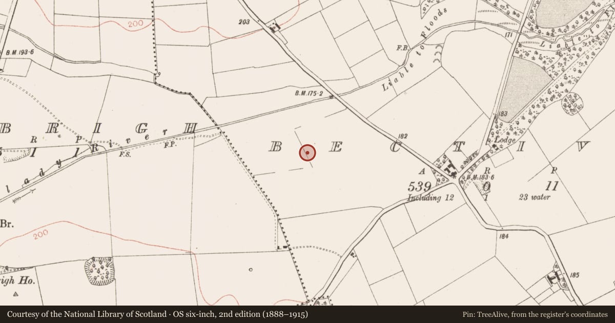 Ordnance Survey six-inch map, 2nd edition (1888–1915) covering the location of Ring-ditch, Bective, County Meath, with a pin at the register's coordinates