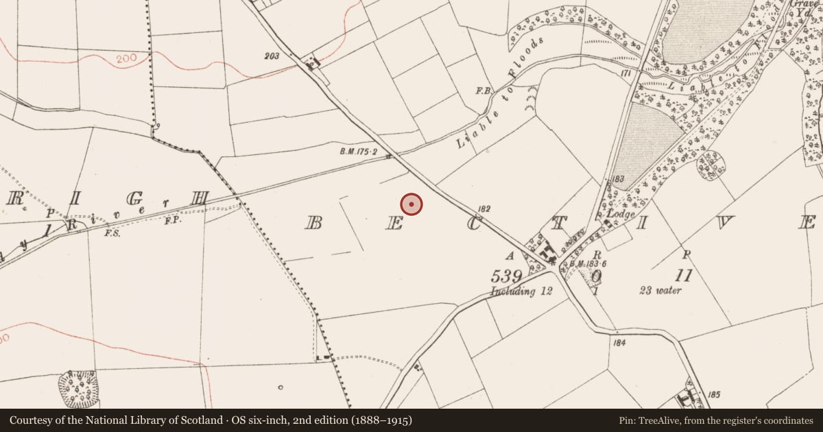 Ordnance Survey six-inch map, 2nd edition (1888–1915) covering the location of Ring-ditch, Bective, County Meath, with a pin at the register's coordinates