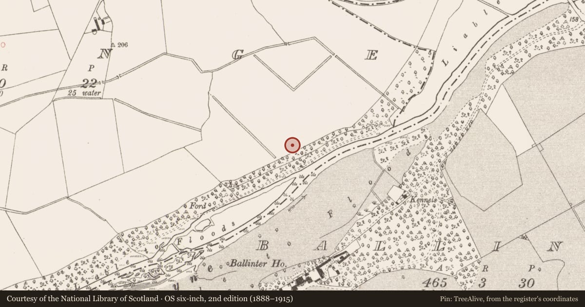 Ordnance Survey six-inch map, 2nd edition (1888–1915) covering the location of Ring-ditch, Grange, County Meath, with a pin at the register's coordinates
