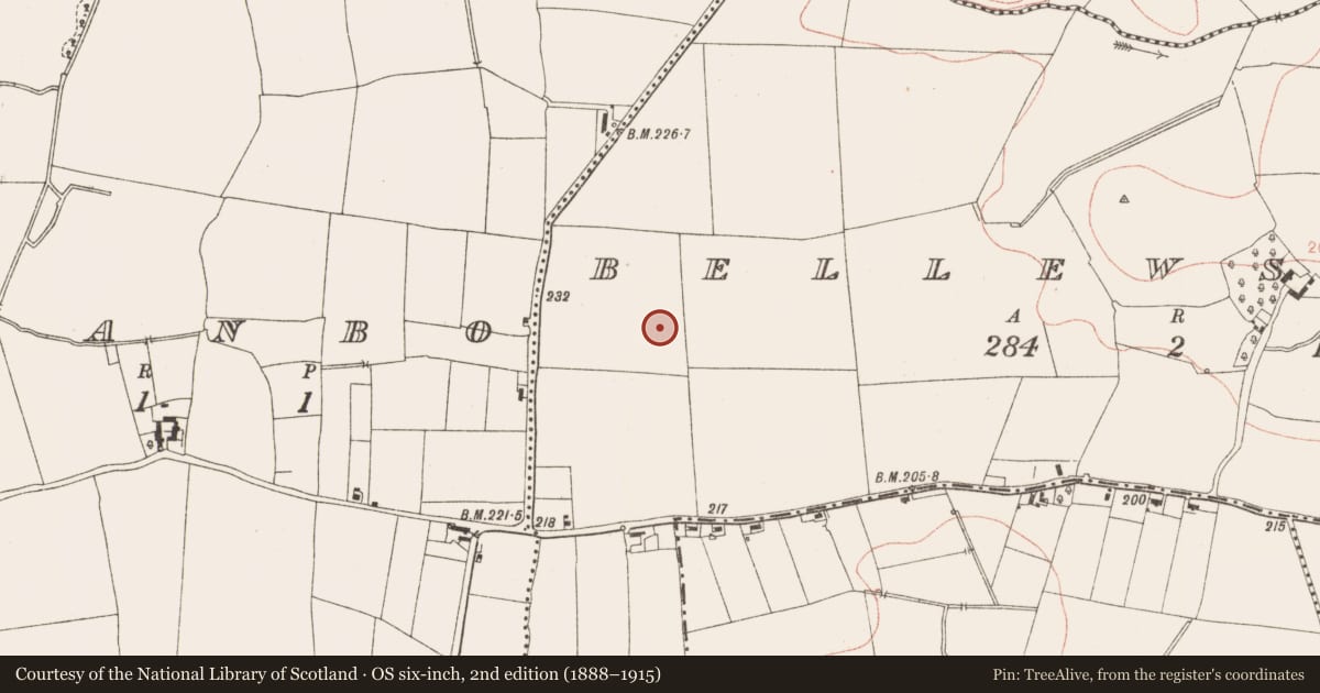 Ordnance Survey six-inch map, 2nd edition (1888–1915) covering the location of Enclosure, Bellewstown, County Meath, with a pin at the register's coordinates