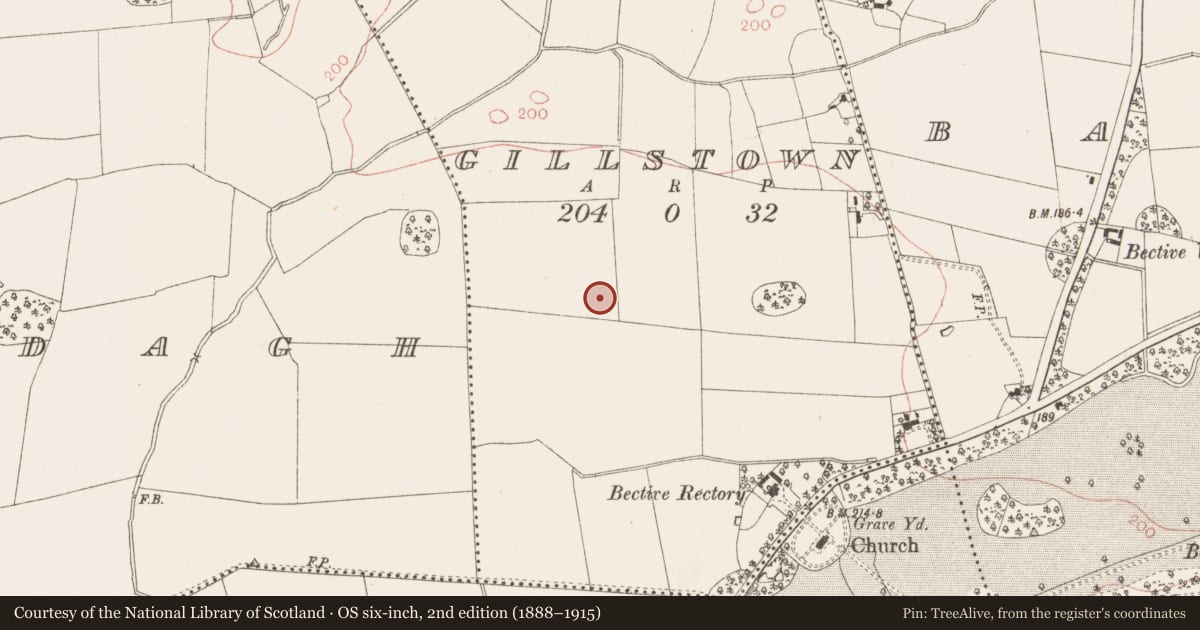 Ordnance Survey six-inch map, 2nd edition (1888–1915) covering the location of Enclosure, Gillstown, County Meath, with a pin at the register's coordinates