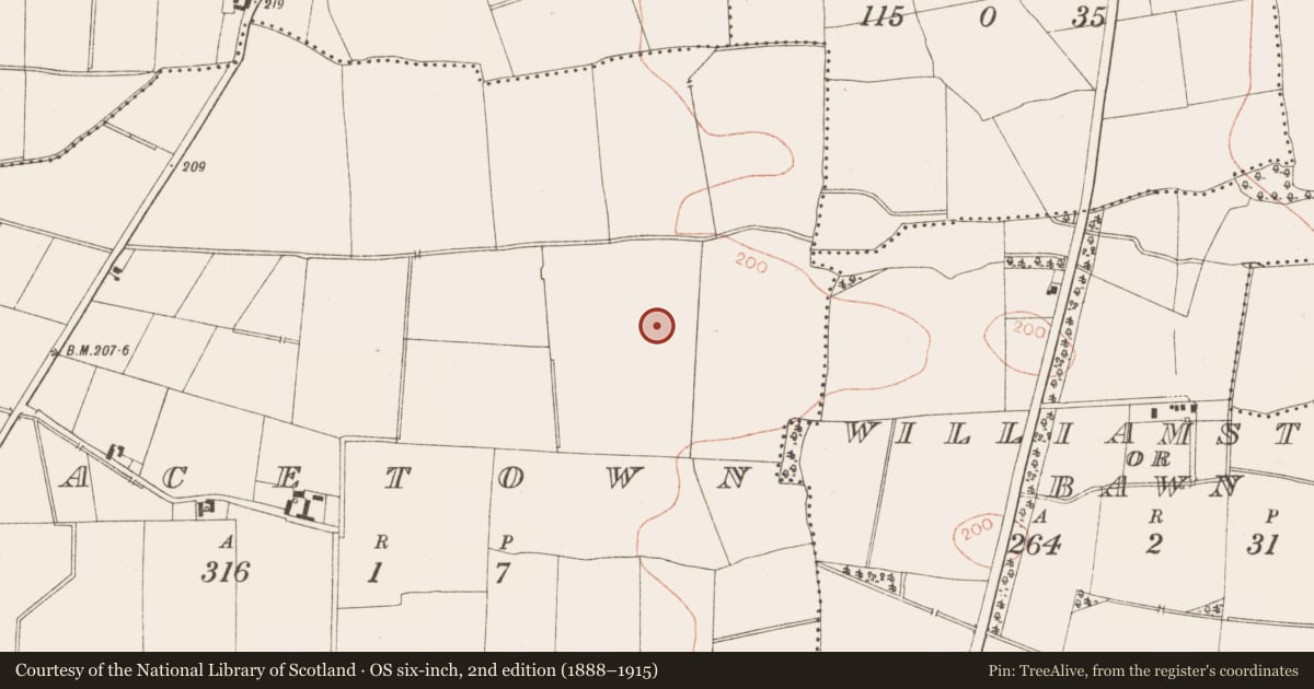 Ordnance Survey six-inch map, 2nd edition (1888–1915) covering the location of Ringfort - rath, MacEtown, County Meath, with a pin at the register's coordinates