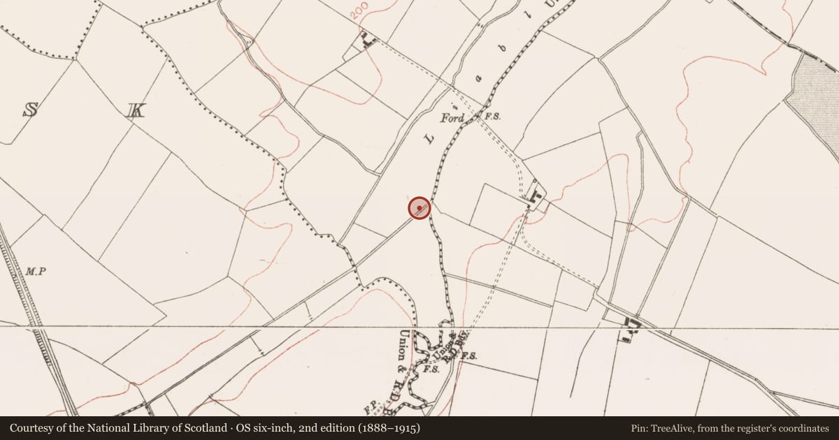 Ordnance Survey six-inch map, 2nd edition (1888–1915) covering the location of Fulacht fia, Balgeeth, County Meath, with a pin at the register's coordinates