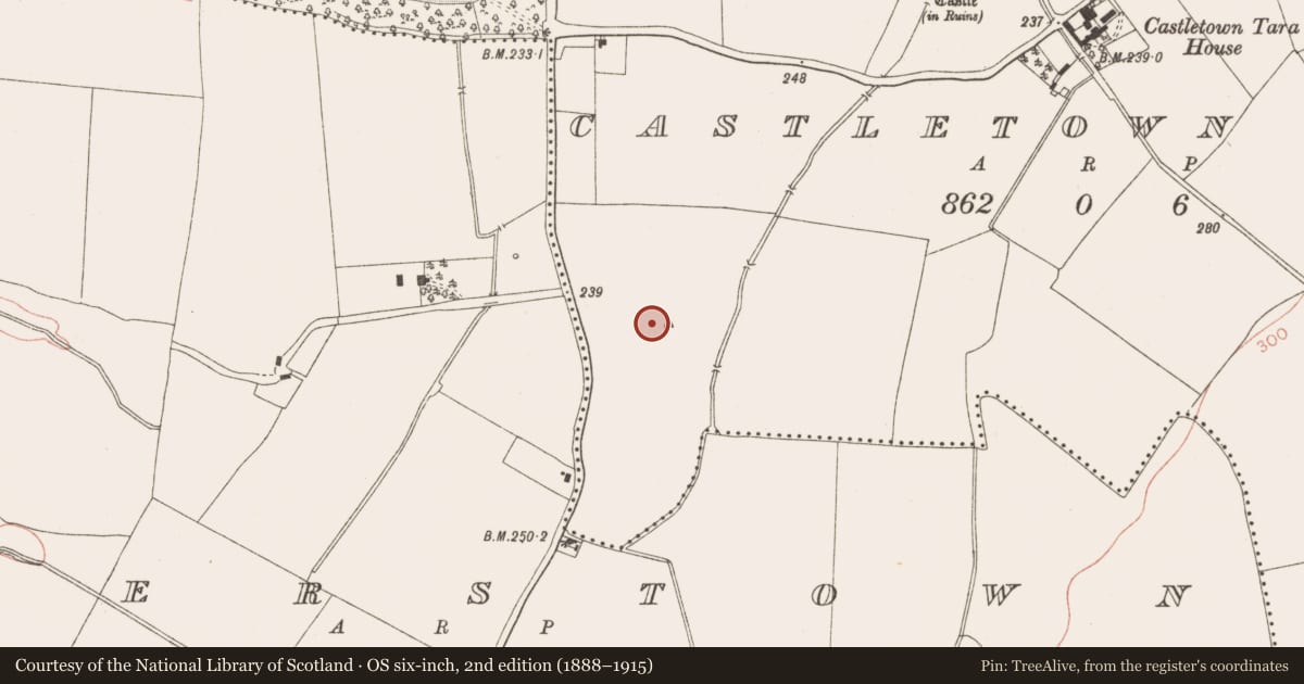 Ordnance Survey six-inch map, 2nd edition (1888–1915) covering the location of Enclosure, Castletown Tara, County Meath, with a pin at the register's coordinates