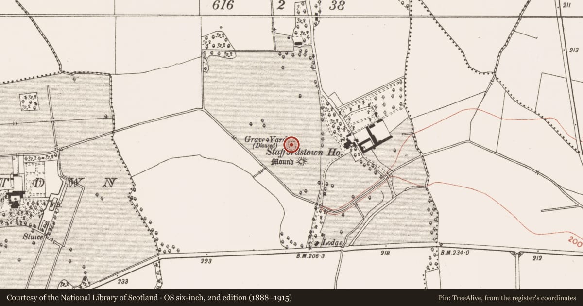 Ordnance Survey six-inch map, 2nd edition (1888–1915) covering the location of Church, Staffordstown, County Meath, with a pin at the register's coordinates