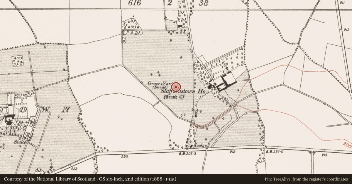 Ordnance Survey six-inch map, 2nd edition (1888–1915) covering the location of Font, Staffordstown, County Meath, with a pin at the register's coordinates