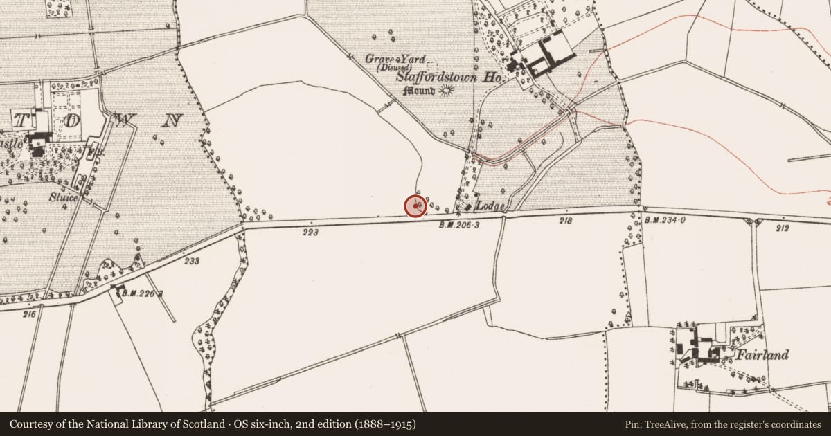 Ordnance Survey six-inch map, 2nd edition (1888–1915) covering the location of Church, Staffordstown, County Meath, with a pin at the register's coordinates