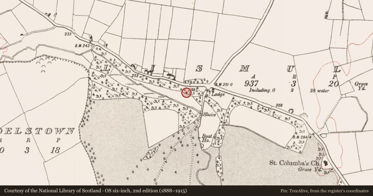 Ordnance Survey six-inch map, 2nd edition (1888–1915) covering the location of Souterrain, Lismullin, County Meath, with a pin at the register's coordinates