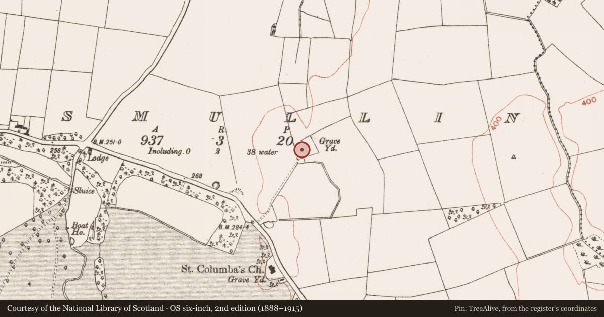 Ordnance Survey six-inch map, 2nd edition (1888–1915) covering the location of Church, Lismullin, County Meath, with a pin at the register's coordinates