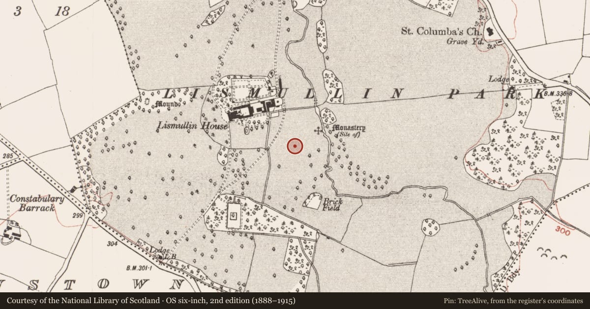 Ordnance Survey six-inch map, 2nd edition (1888–1915) covering the location of Religious house - Augustinian nuns, Lismullin, County Meath, with a pin at the register's coordinates