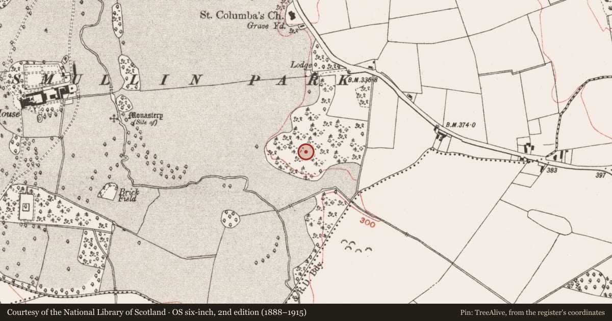 Ordnance Survey six-inch map, 2nd edition (1888–1915) covering the location of Ringfort - rath, Lismullin, County Meath, with a pin at the register's coordinates