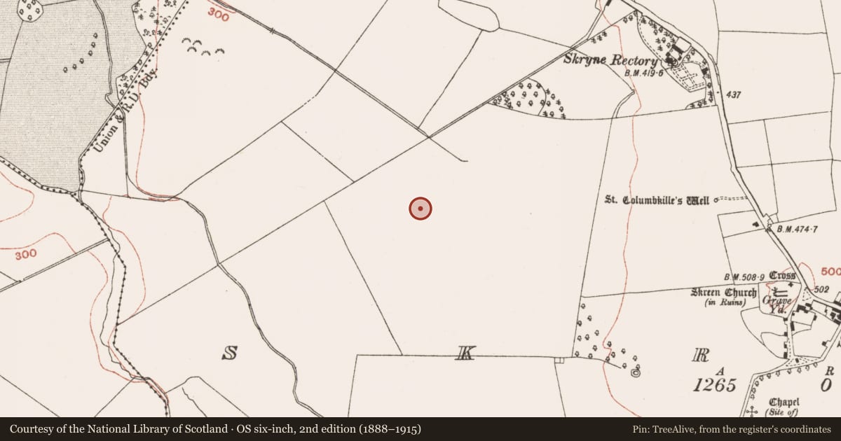 Ordnance Survey six-inch map, 2nd edition (1888–1915) covering the location of Moated site, Skreen, County Meath, with a pin at the register's coordinates