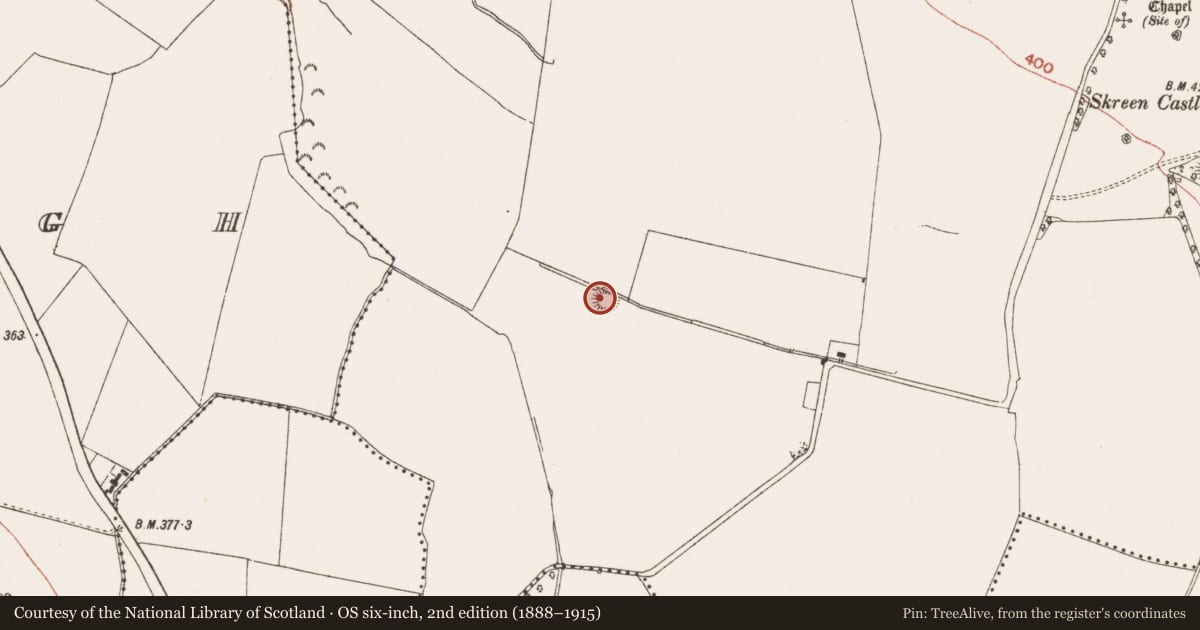 Ordnance Survey six-inch map, 2nd edition (1888–1915) covering the location of Ringfort - rath, Skreen, County Meath, with a pin at the register's coordinates
