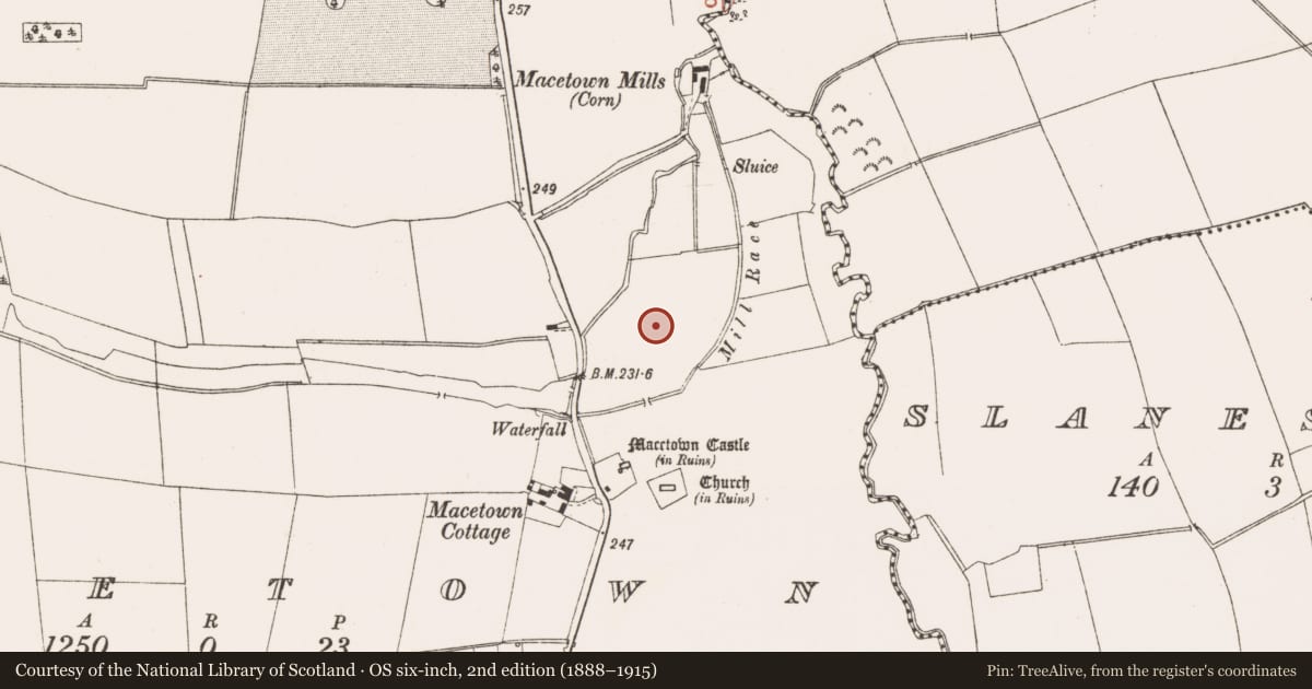 Ordnance Survey six-inch map, 2nd edition (1888–1915) covering the location of Settlement deserted - medieval, MacEtown, County Meath, with a pin at the register's coordinates