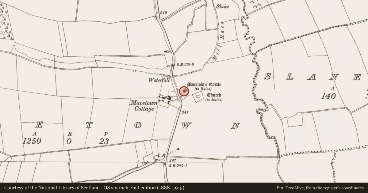 Ordnance Survey six-inch map, 2nd edition (1888–1915) covering the location of Castle - tower house, MacEtown, County Meath, with a pin at the register's coordinates