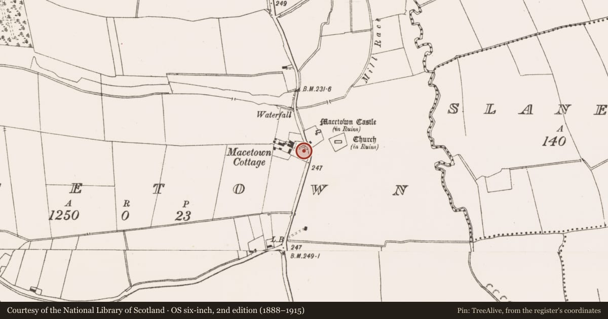 Ordnance Survey six-inch map, 2nd edition (1888–1915) covering the location of Stone head, MacEtown, County Meath, with a pin at the register's coordinates