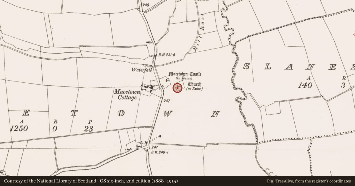 Ordnance Survey six-inch map, 2nd edition (1888–1915) covering the location of Graveyard, MacEtown, County Meath, with a pin at the register's coordinates