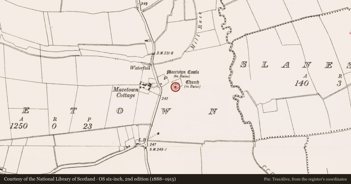 Ordnance Survey six-inch map, 2nd edition (1888–1915) covering the location of Architectural fragment, MacEtown, County Meath, with a pin at the register's coordinates