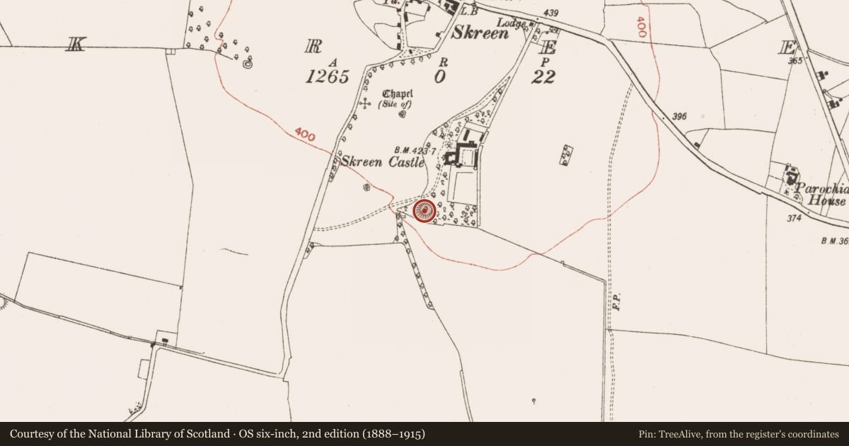 Ordnance Survey six-inch map, 2nd edition (1888–1915) covering the location of Castle - motte, Skreen, County Meath, with a pin at the register's coordinates