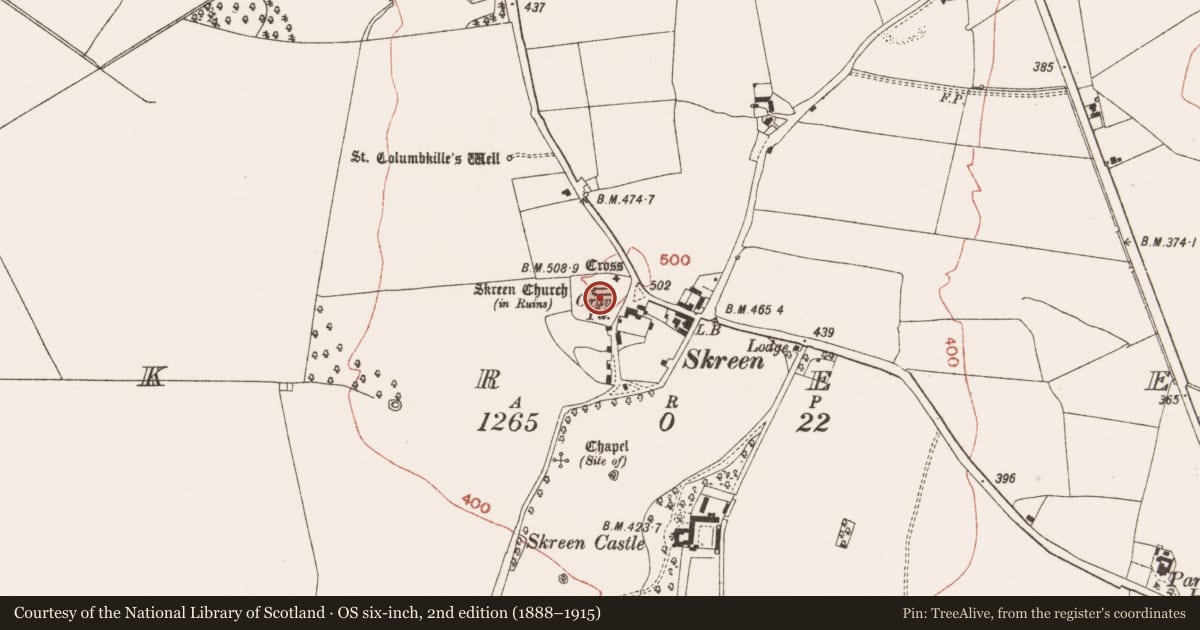 Ordnance Survey six-inch map, 2nd edition (1888–1915) covering the location of Church, Skreen, County Meath, with a pin at the register's coordinates