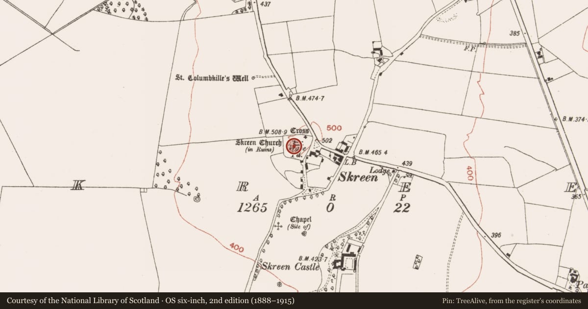 Ordnance Survey six-inch map, 2nd edition (1888–1915) covering the location of Cross-slab, Skreen, County Meath, with a pin at the register's coordinates