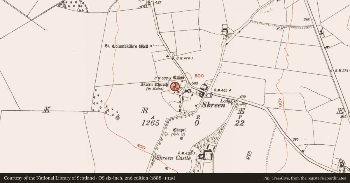 Ordnance Survey six-inch map, 2nd edition (1888–1915) covering the location of Graveslab, Skreen, County Meath, with a pin at the register's coordinates