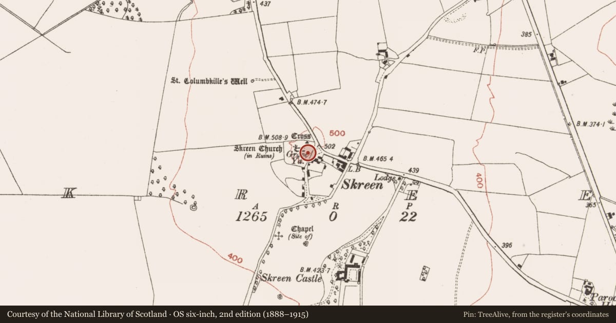 Ordnance Survey six-inch map, 2nd edition (1888–1915) covering the location of Wall monument, Skreen, County Meath, with a pin at the register's coordinates