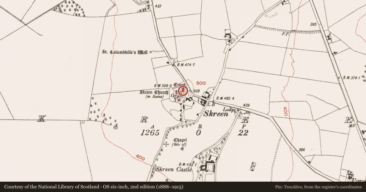 Ordnance Survey six-inch map, 2nd edition (1888–1915) covering the location of Cross - Churchyard cross, Skreen, County Meath, with a pin at the register's coordinates