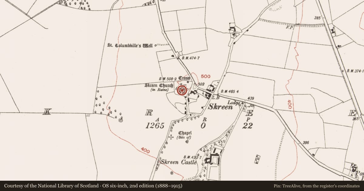 Ordnance Survey six-inch map, 2nd edition (1888–1915) covering the location of Graveyard, Skreen, County Meath, with a pin at the register's coordinates